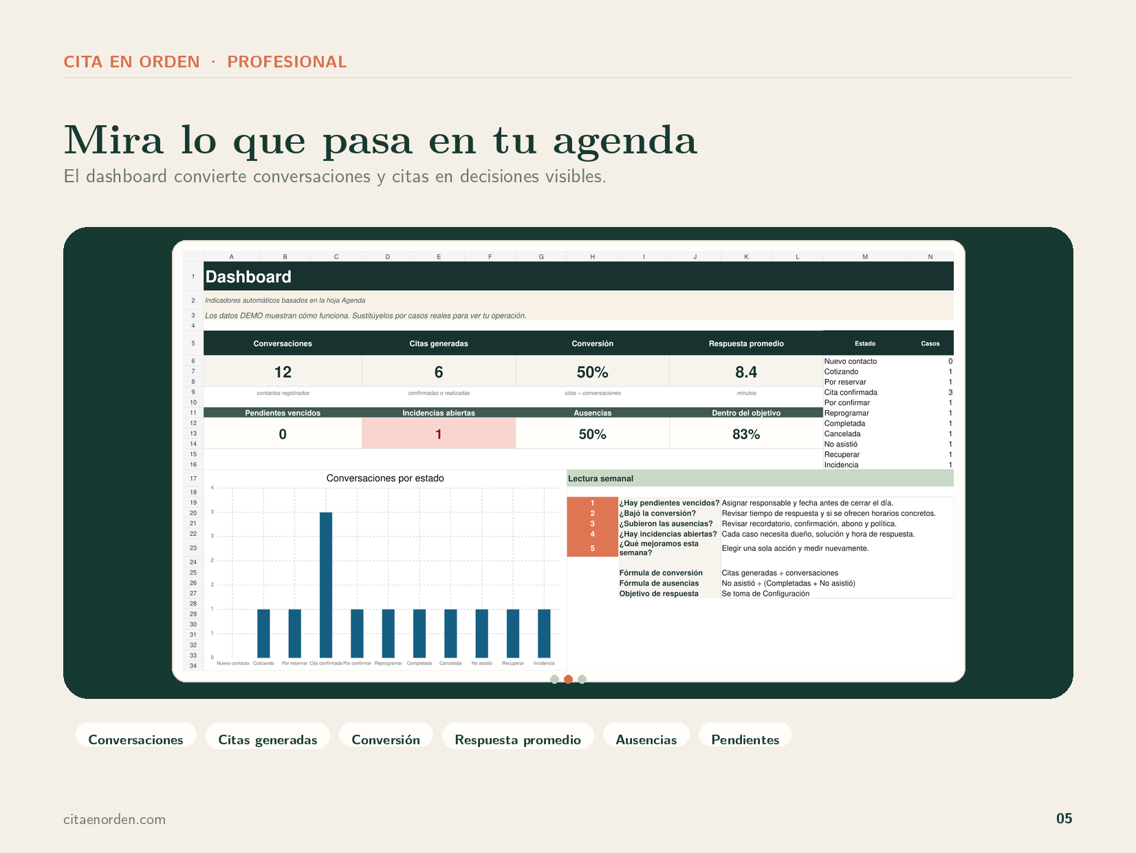 Vista previa del dashboard incluido únicamente en el Kit Profesional